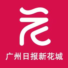 2026世界杯热门赛事预测与分析 - 足球世界杯