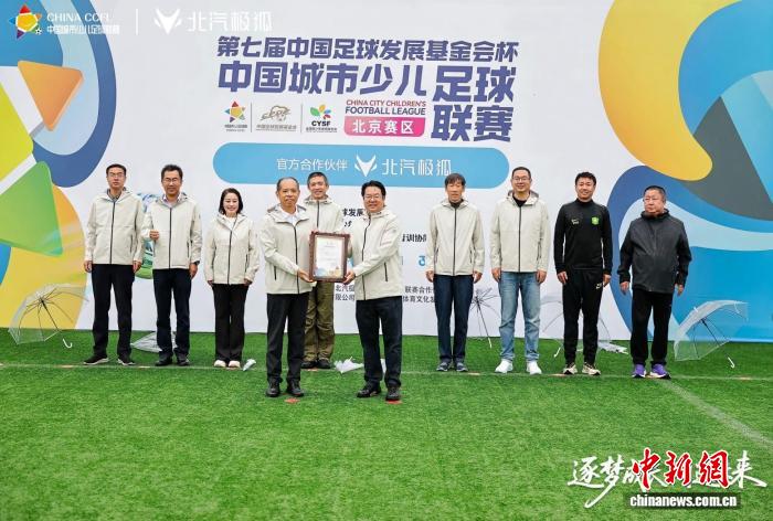 2026世界杯热门赛事预测与分析 - 足球世界杯